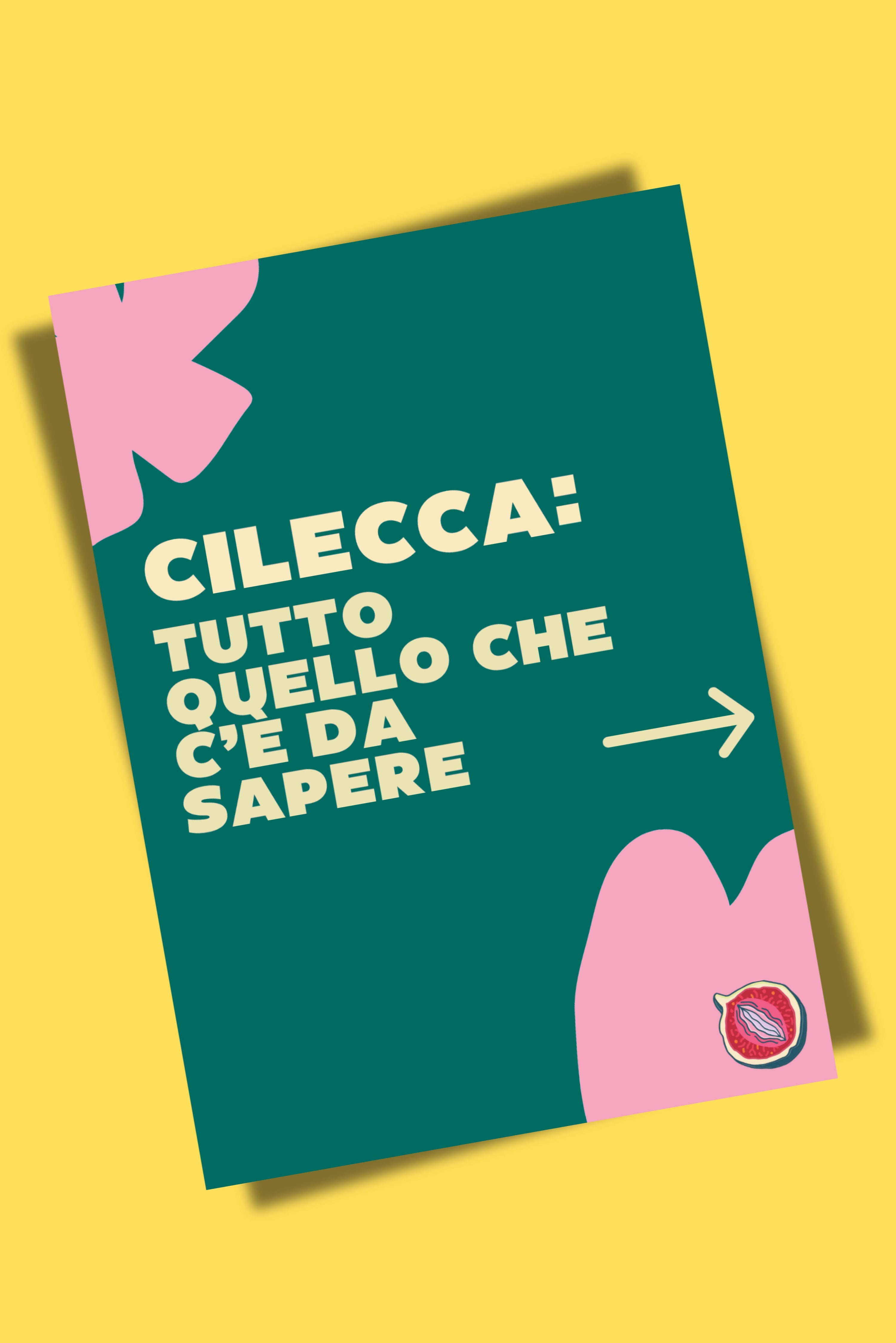 PDF Guida Cilecca: tutto quello che c'è da sapere