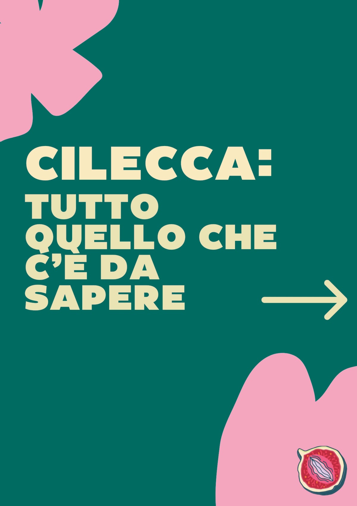 PDF Guida Cilecca: tutto quello che c'è da sapere