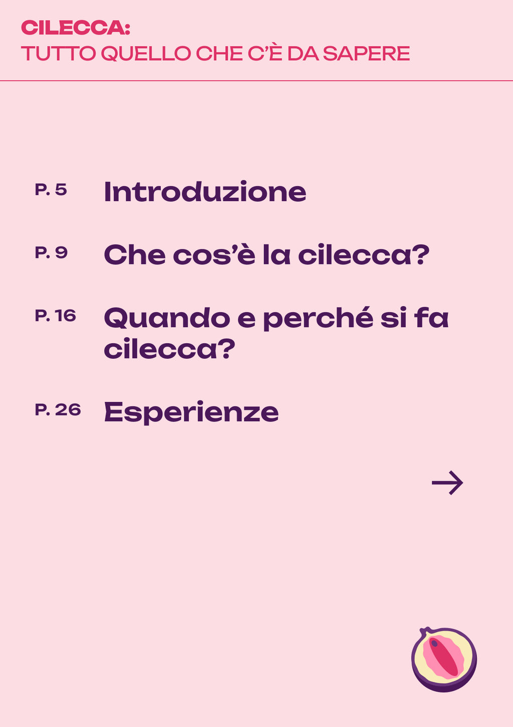 Cilecca PDF-Handbuch: Alles, was Sie wissen müssen