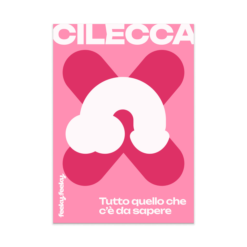 Cilecca PDF-Handbuch: Alles, was Sie wissen müssen